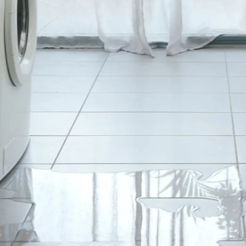 Appliance Leak Cleanup in Affton, MO
