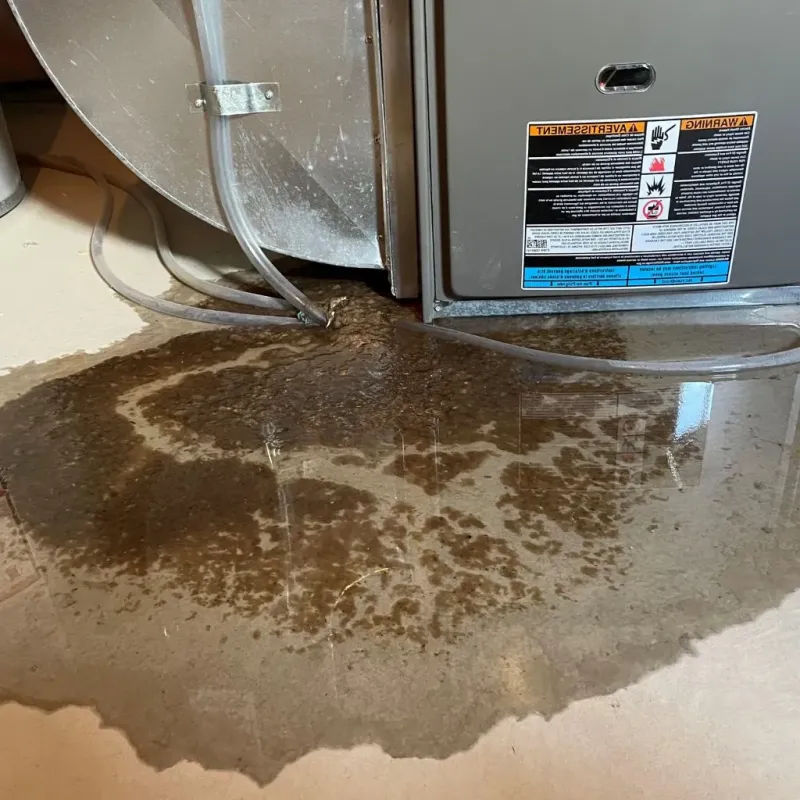 Pipe Burst and Leak Restoration in Affton, MO