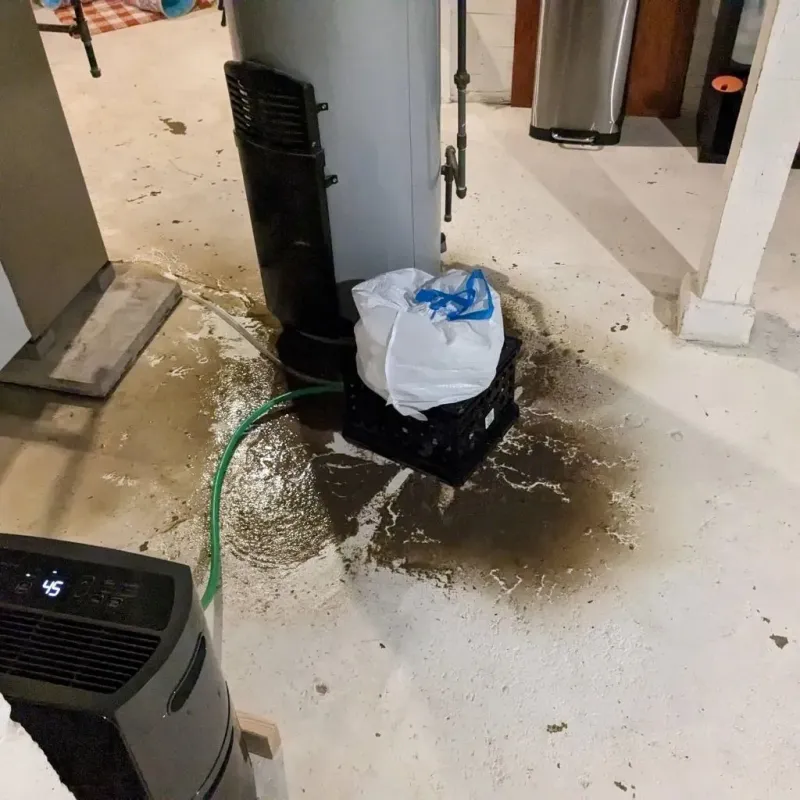 Sewage Backup Cleanup Service in Affton, MO